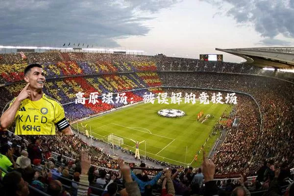 高原球场:被误解的竞技场